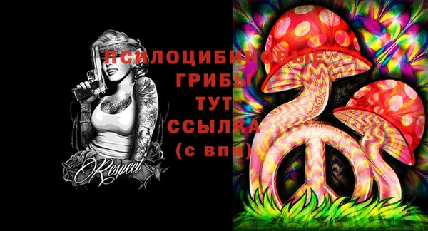 герыч Володарск